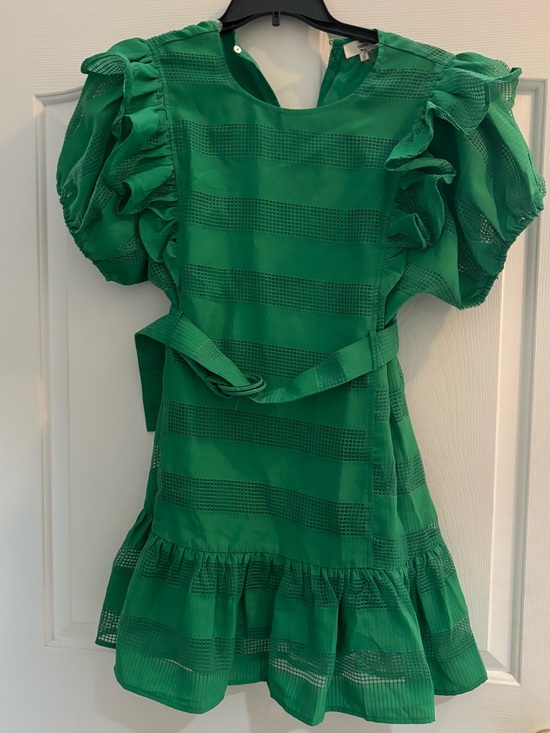 entro Dresses & Skirts - entro Green Ruffle Sleeve Belted Mini Dress